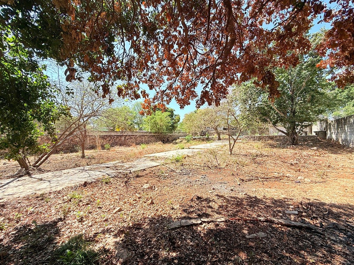 TERRENO EN VENTA UBICADO EN EL ROBLE AGRÍCOLA - foto 3