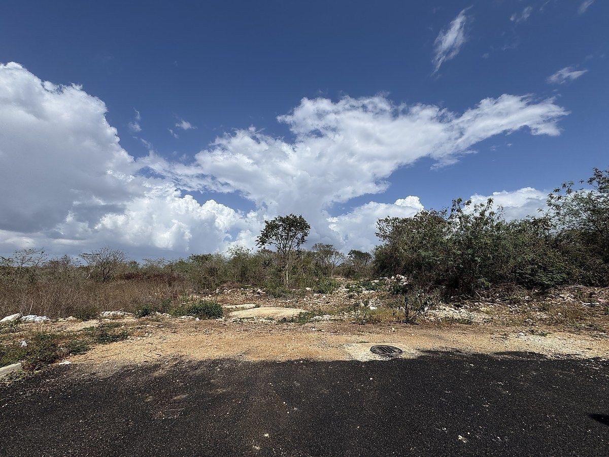 TERRENO A POCOS METROS DE LA CARRETERA CANCÚN EN TEYA - foto 2