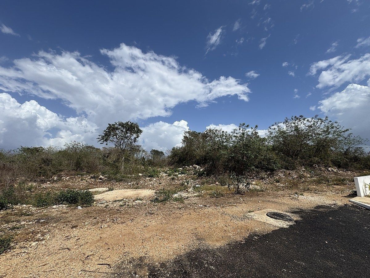TERRENO A POCOS METROS DE LA CARRETERA CANCÚN EN TEYA - foto 3
