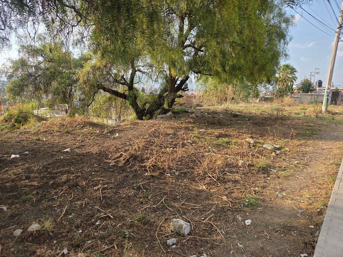 Land of 1,271 m2 on avenue in Tepojaco, Cuautitlán Izcalli - foto 4