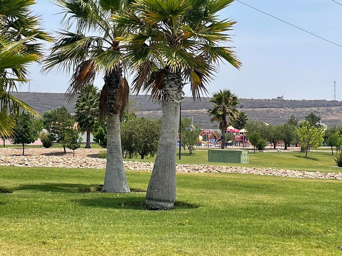 3 de 14: ENTORNO CD MADERAS