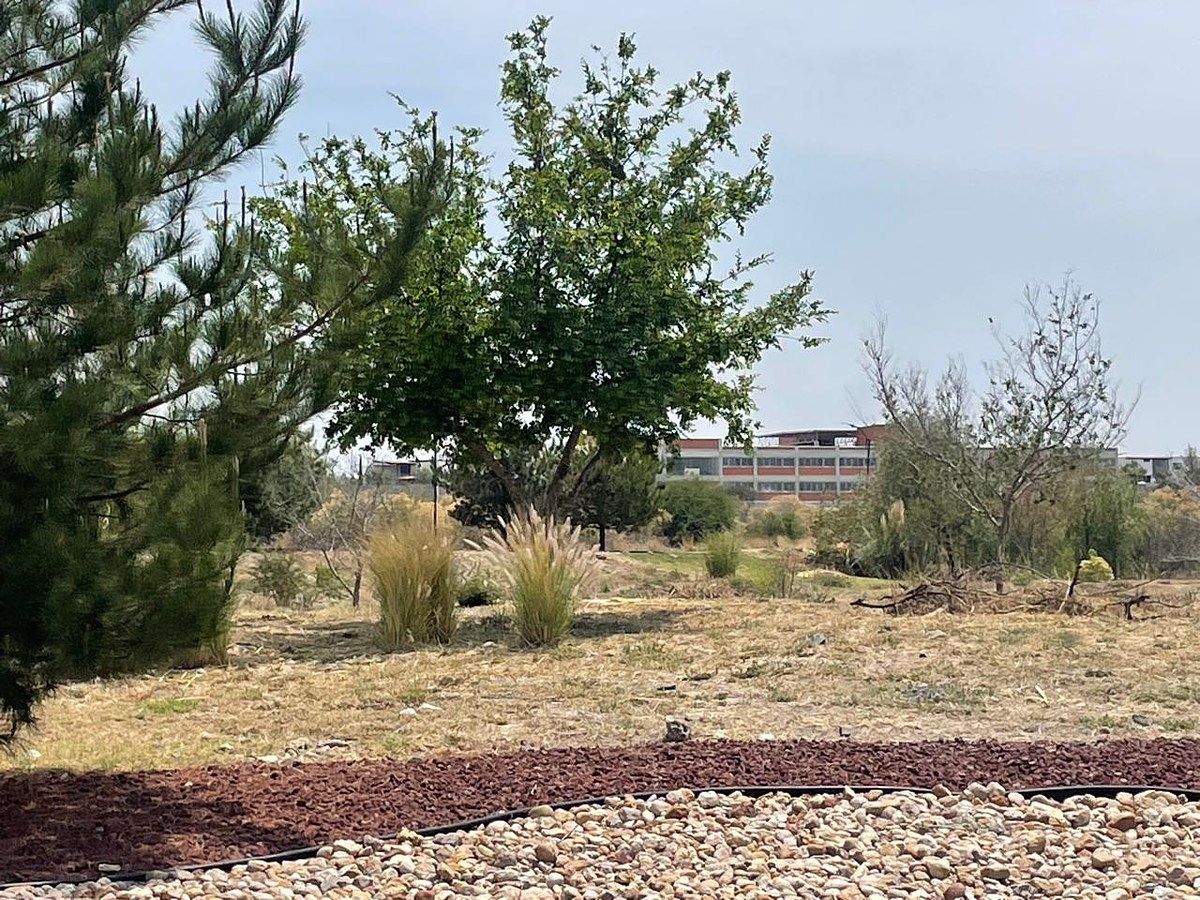 12 de 14: ENTORNO CD MADERAS