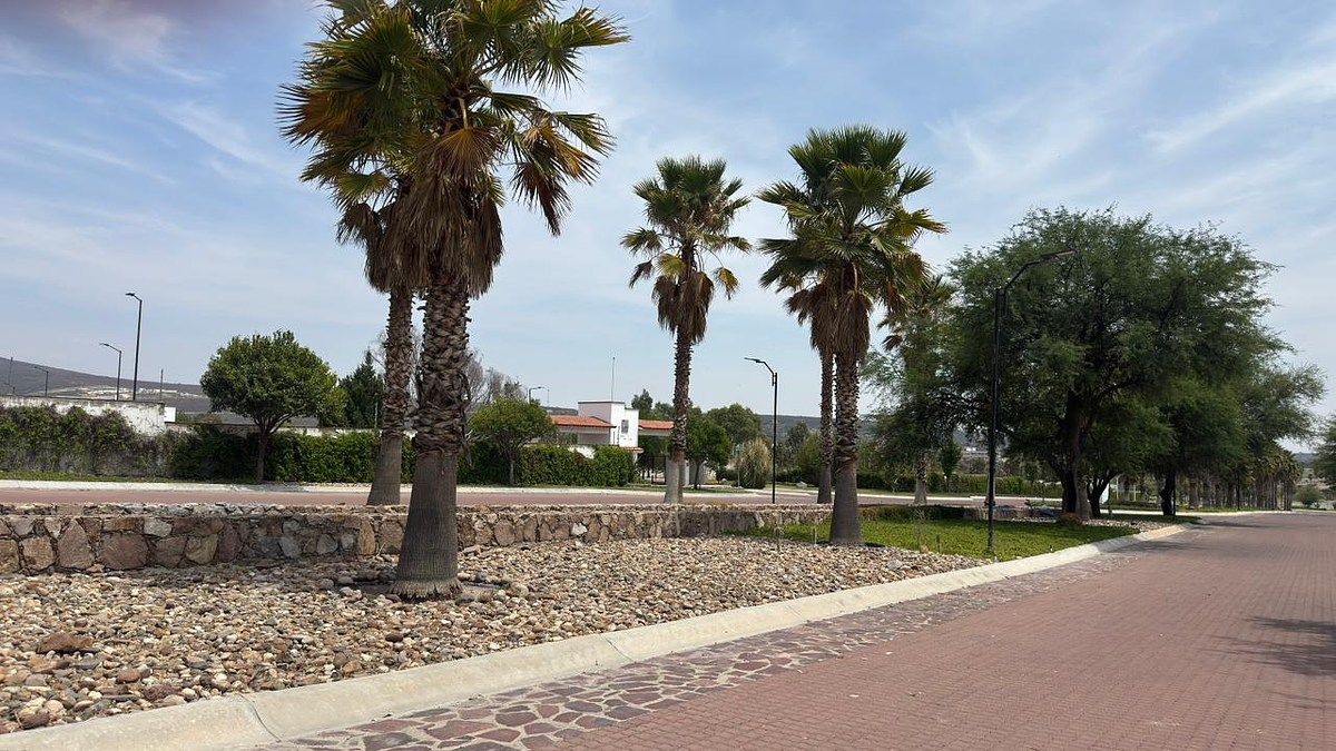 13 de 14: ENTORNO CD MADERAS