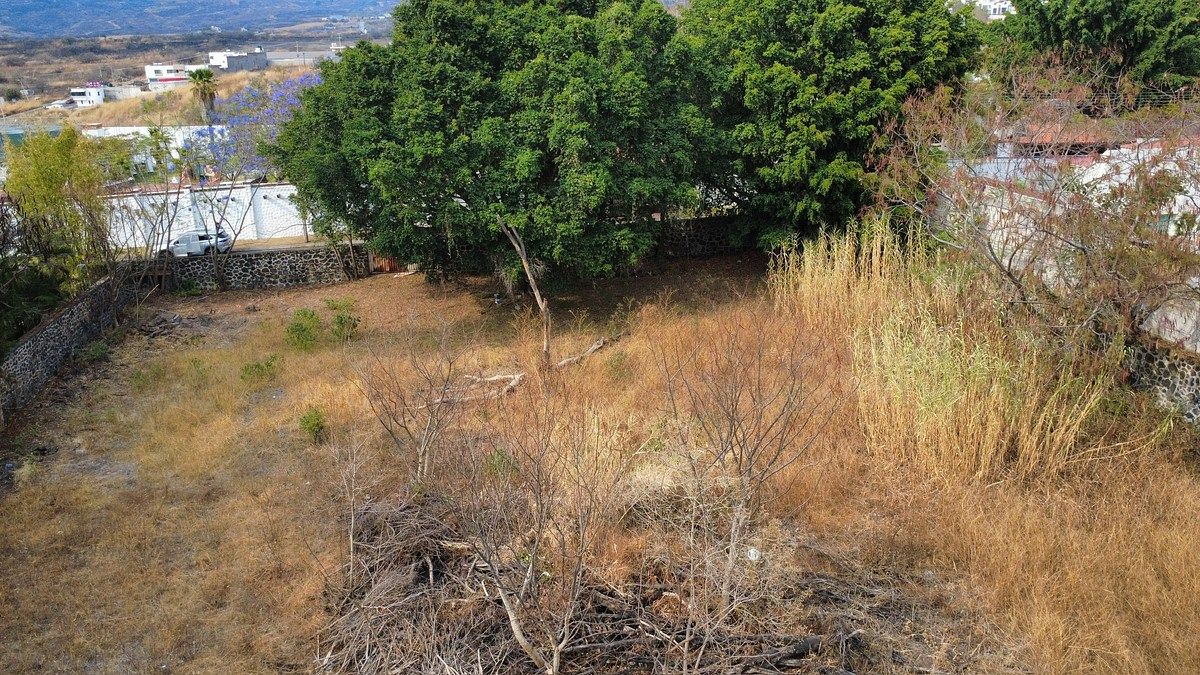 Terreno en Lomas de Cocoyoc, Atlatlahucan, foto 7 de 9