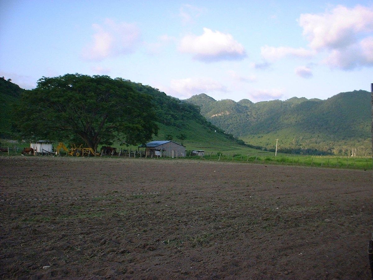 4 de 9: potreros y siembra