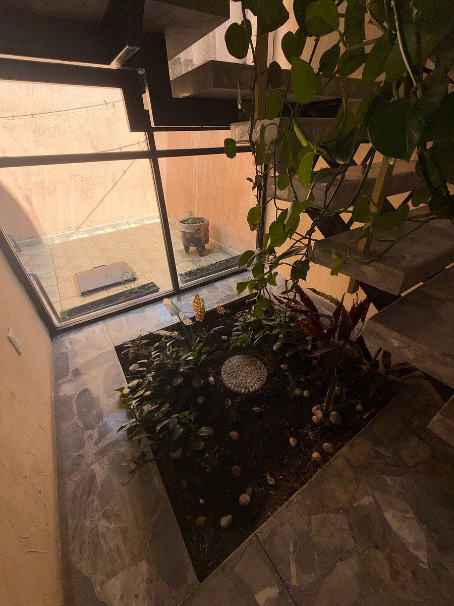 11 de 25: Jardín interior