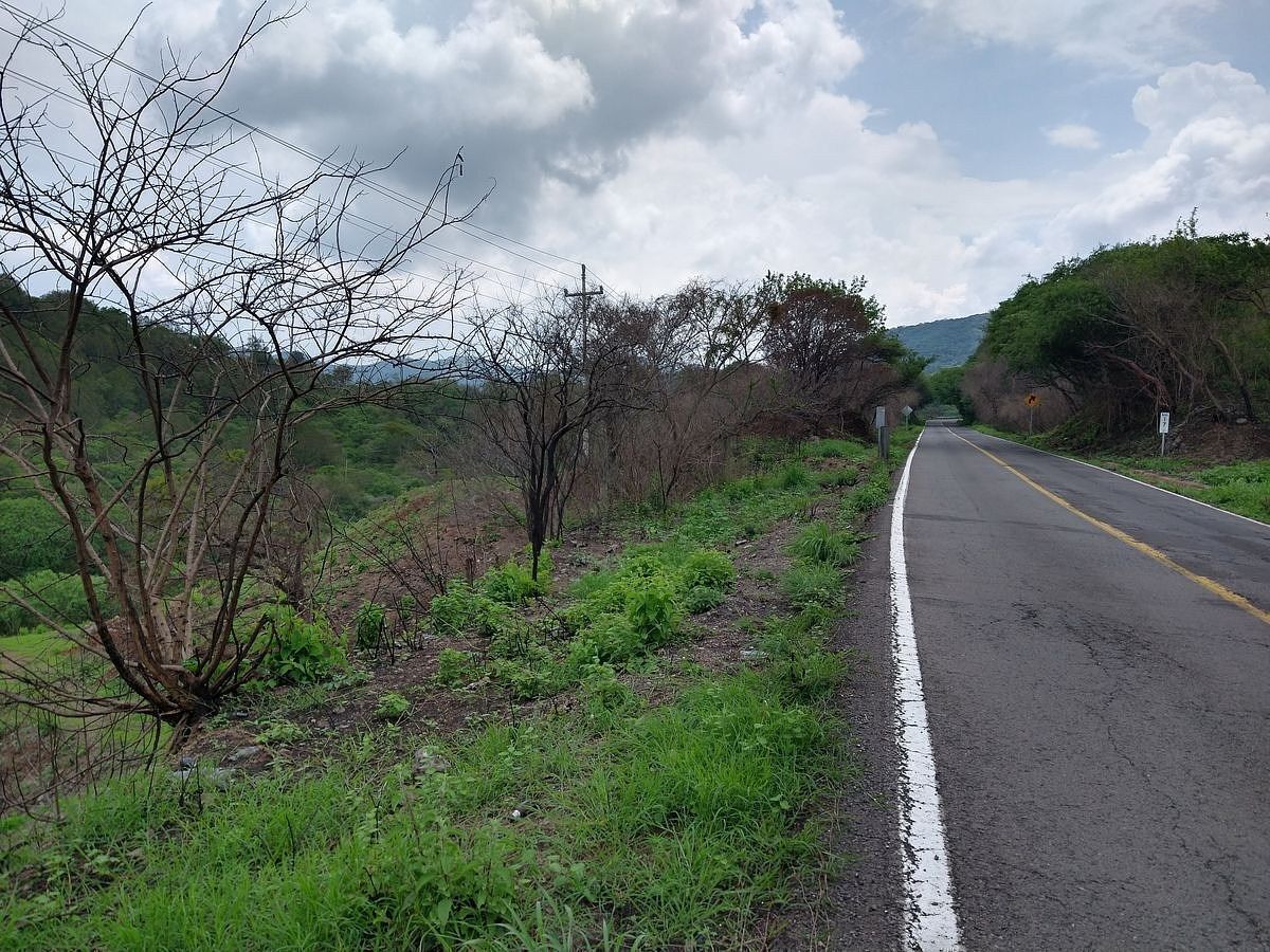 Terreno en Venta en El Realito, Ameca, Jalisco - foto 2