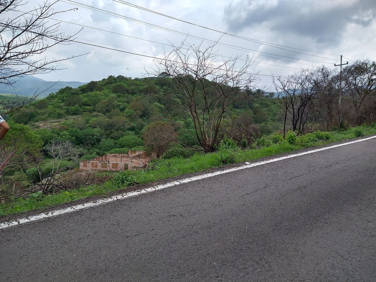 Terreno en Venta en El Realito, Ameca, Jalisco - foto 4