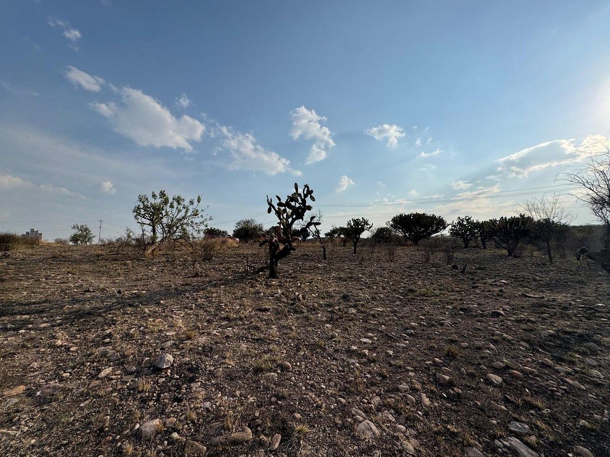 Lote em El Nabo, Querétaro, foto 13 de 13
