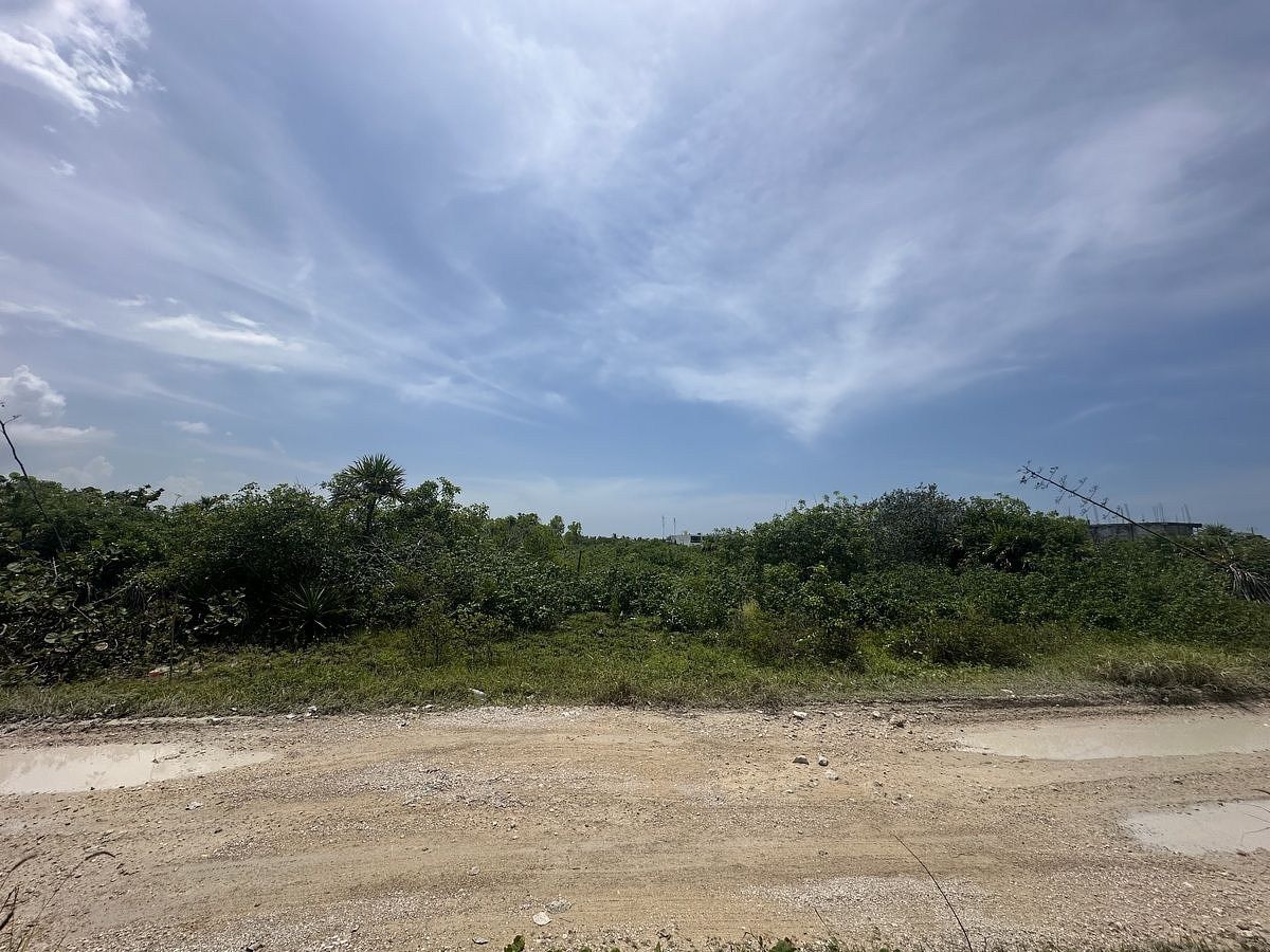 Terreno en San Benito, Dzemul, foto 3 de 9