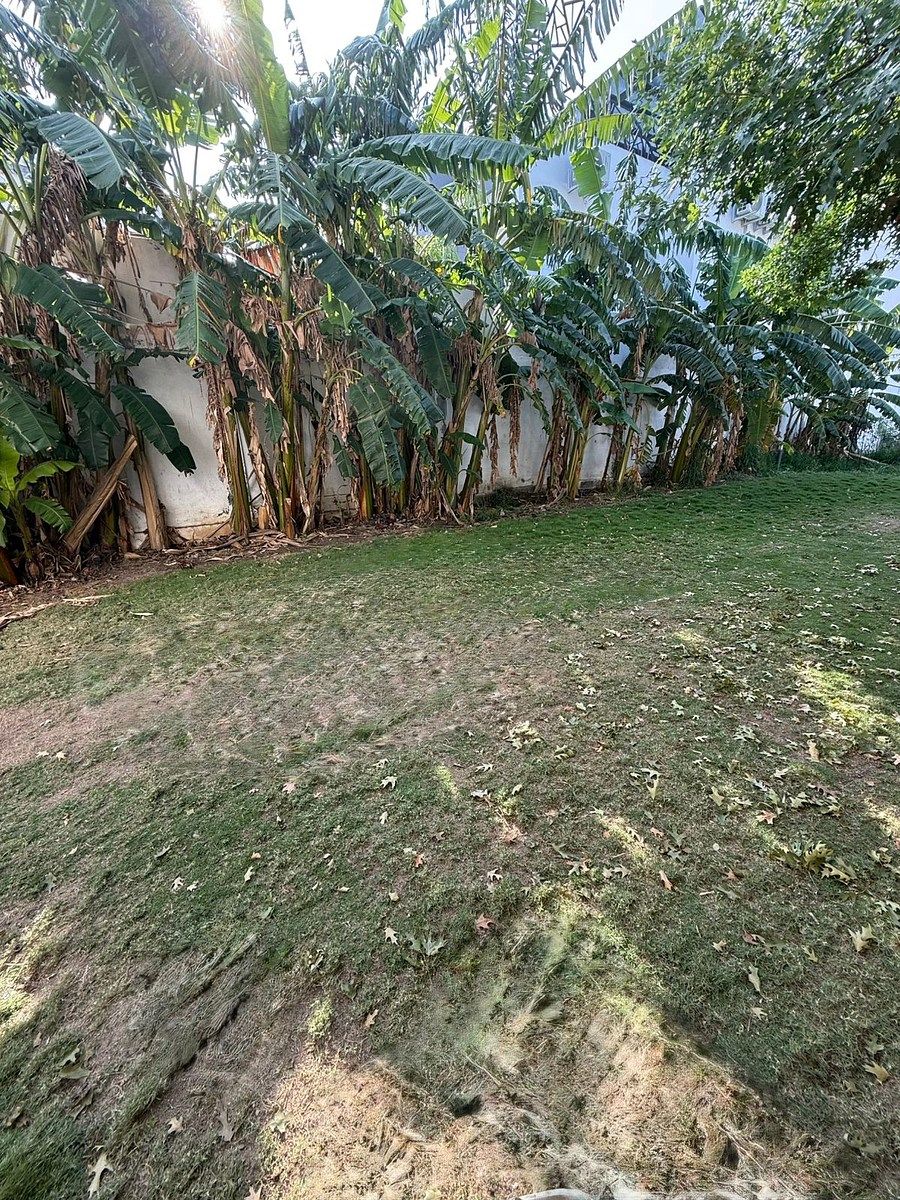 Casa em Contry la Silla, Guadalupe, foto 17 de 21