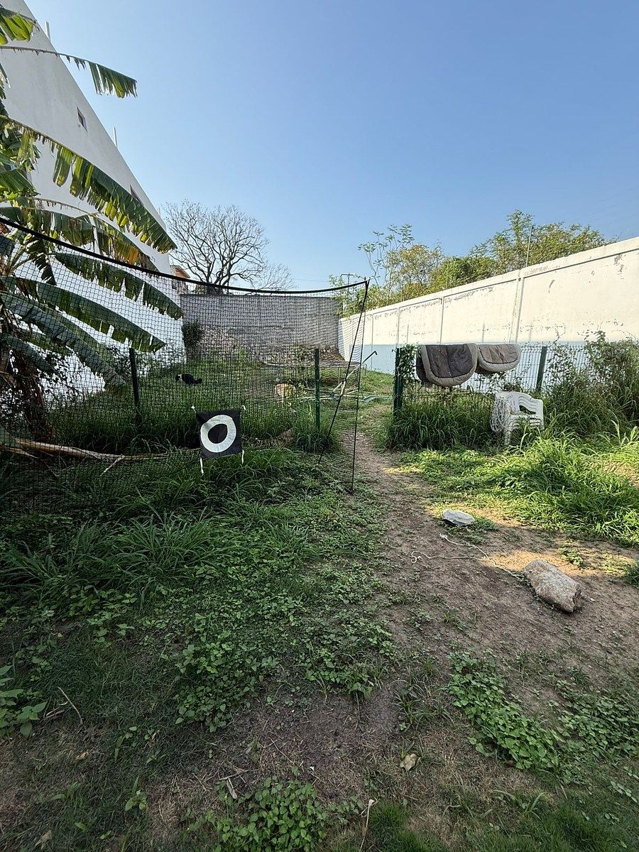 Casa em Contry la Silla, Guadalupe, foto 19 de 21
