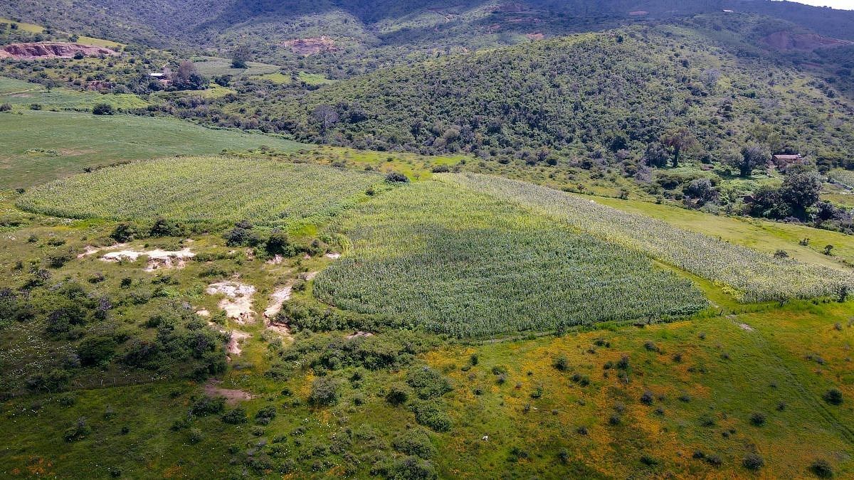 Terreno La Frontera en Tapalpa, en venta por mt2. - foto 4