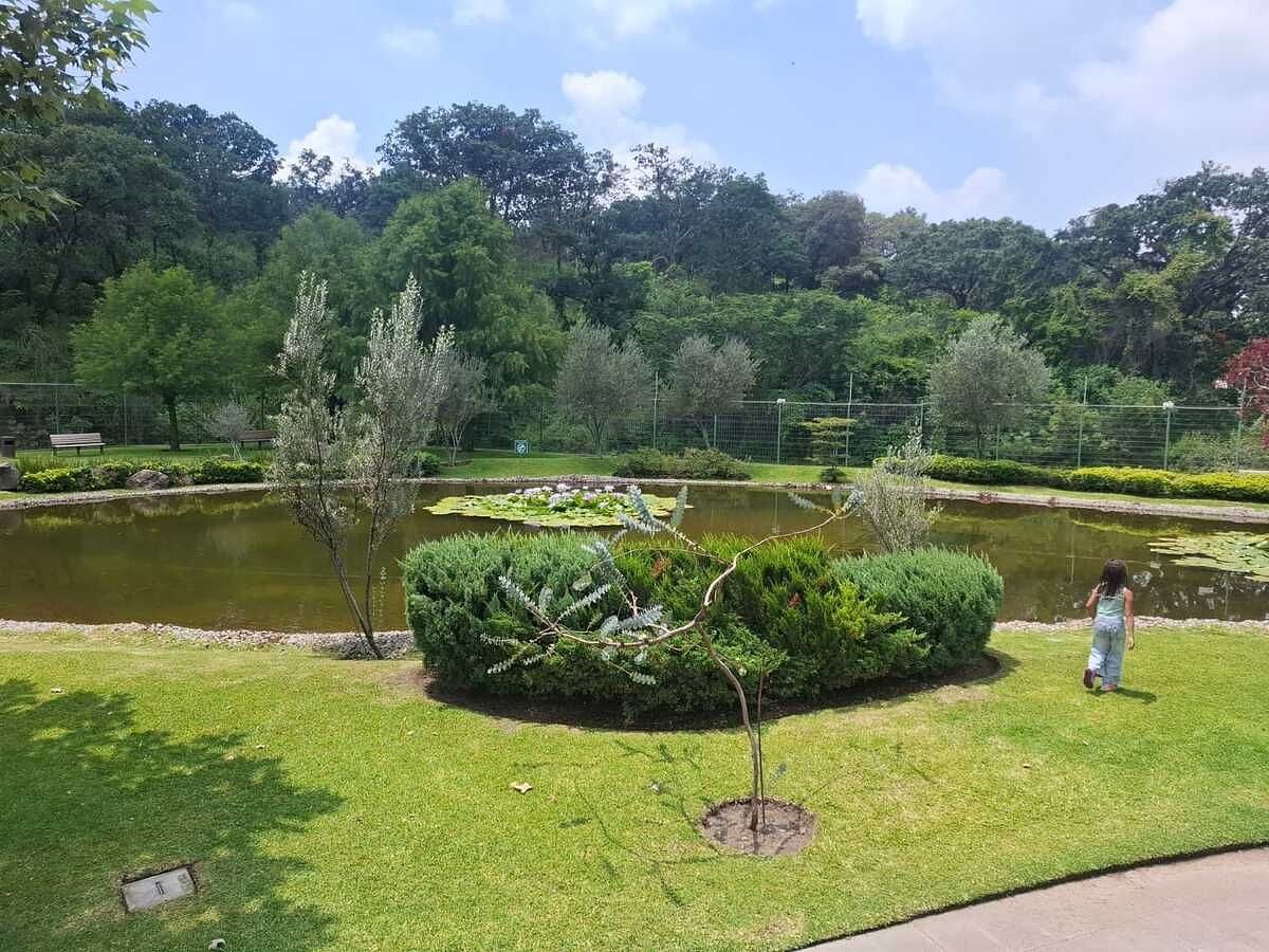 Casa en condominio en Fraccionamiento el Origen, Tlajomulco de Zúñiga, foto 17 de 23