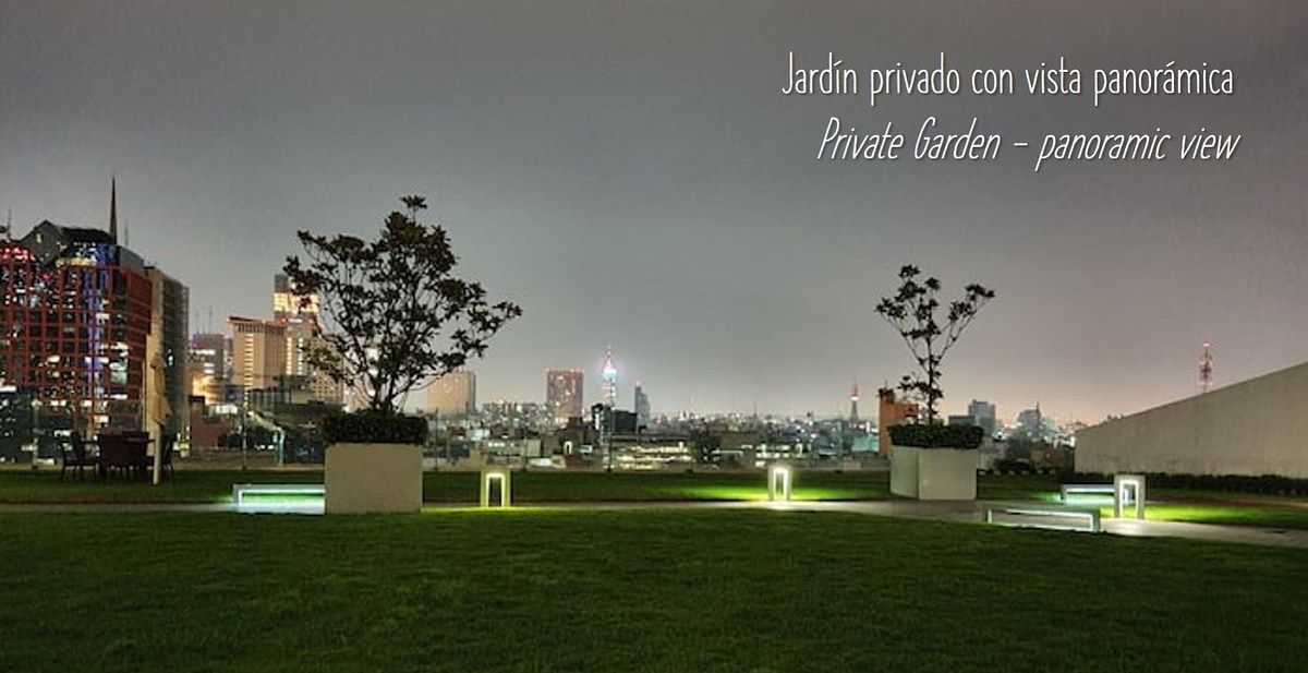 32 de 43: Jardín de noche