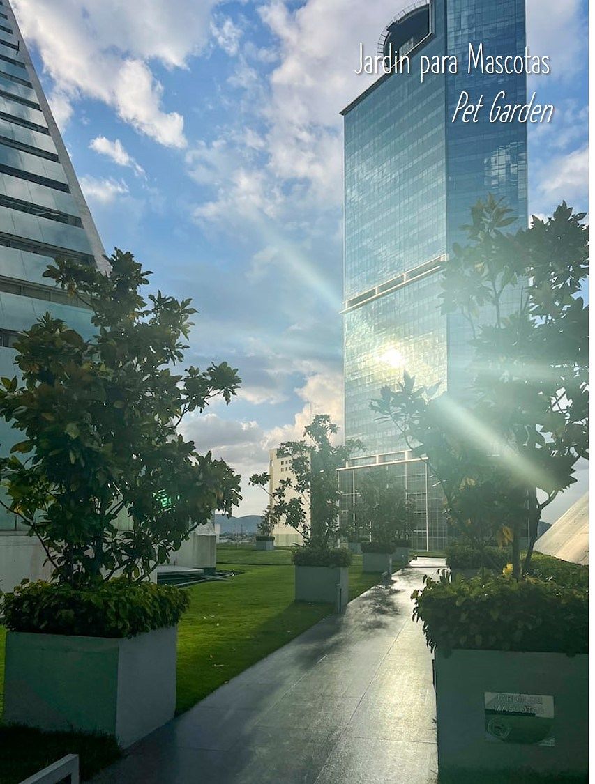 34 de 43: Vista entre los edificios