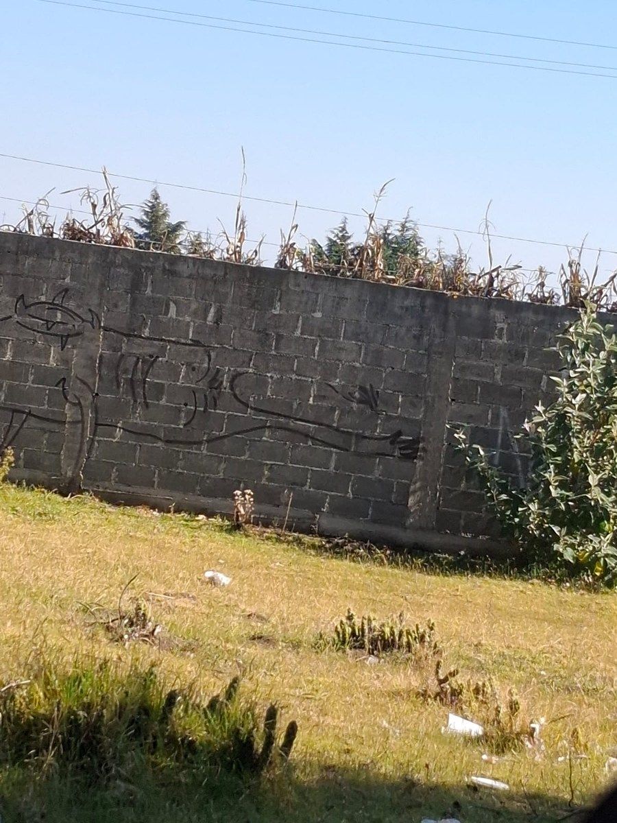 4 de 5