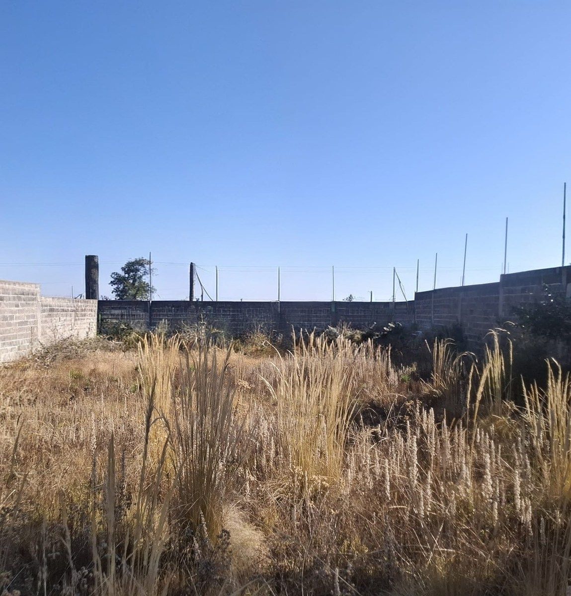 3 de 5