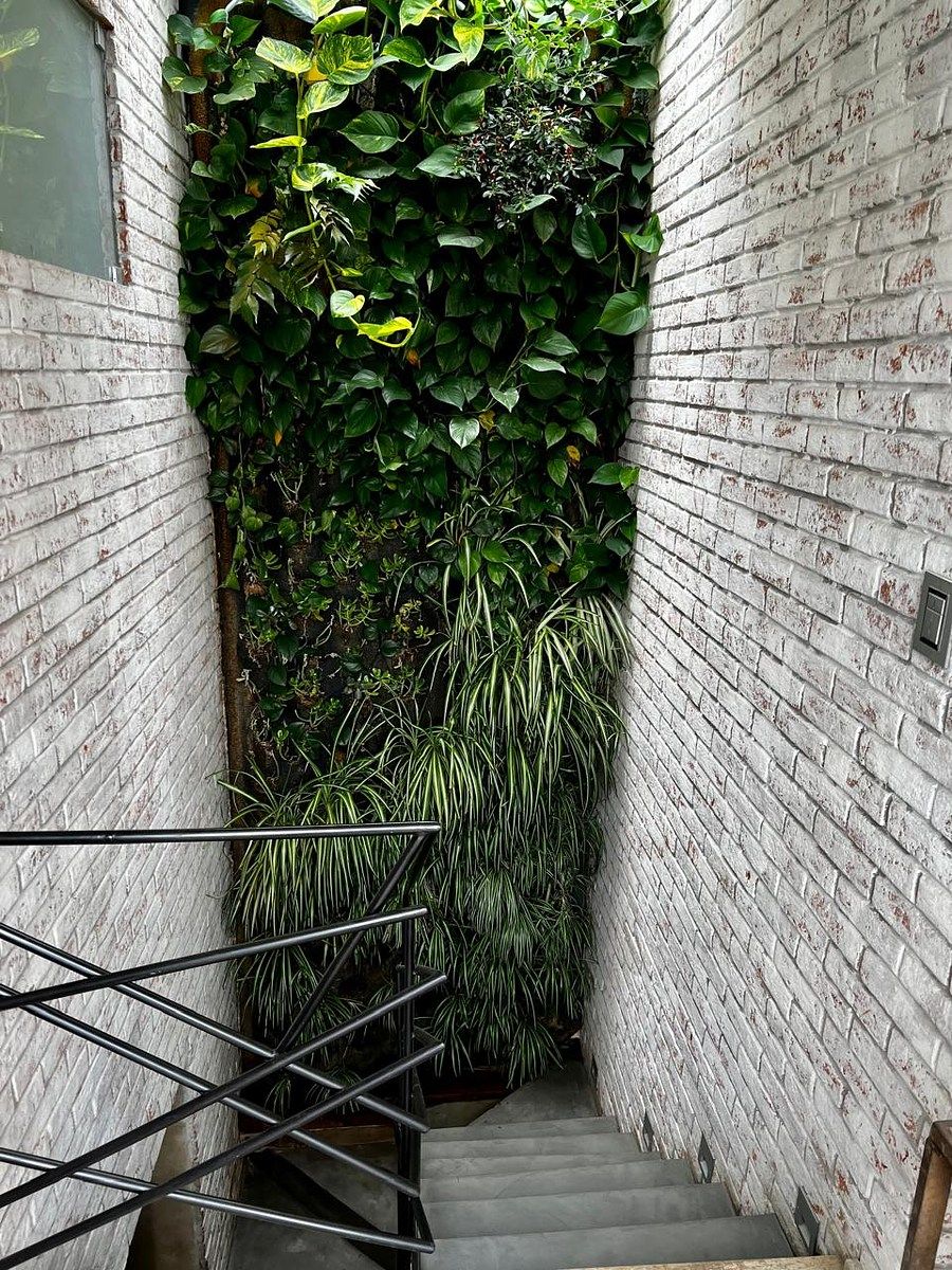 6 de 28
