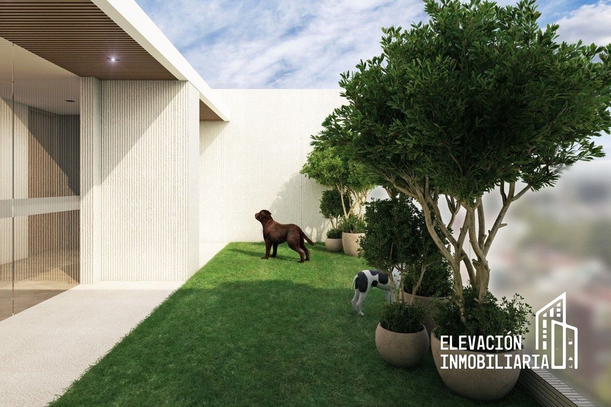 Apartment in Portales Sur, Benito Juárez, photo 3 of 7