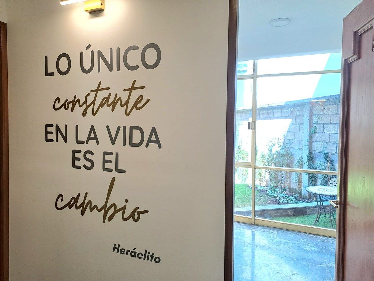 6 de 13