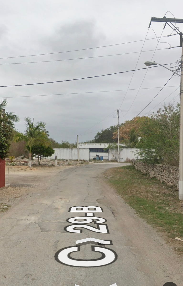5 de 6