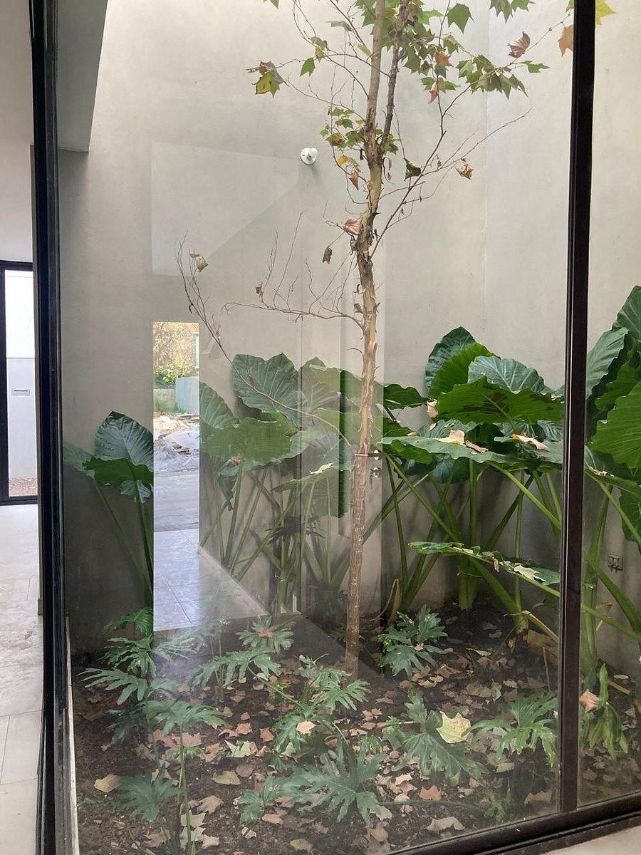 2 de 21: Jardín interior