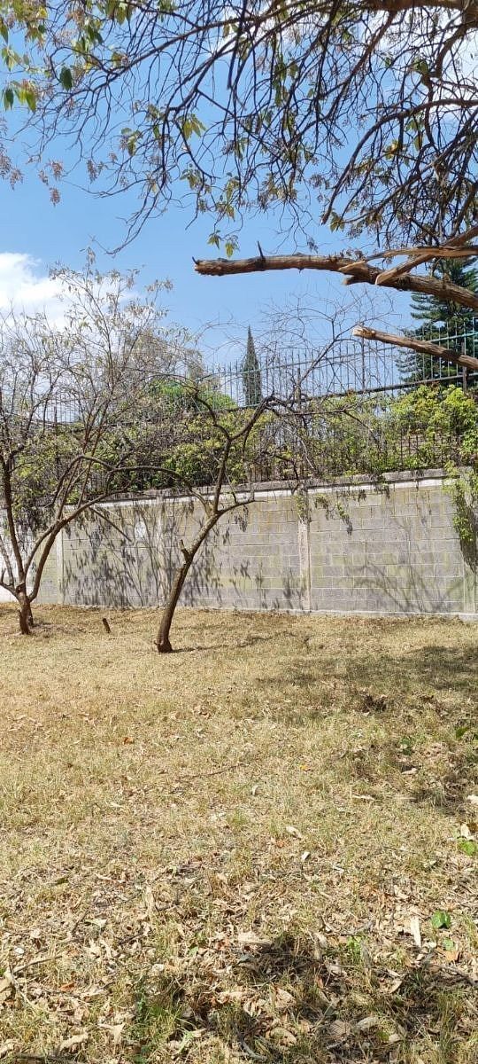 7 de 9: Terreno en Venta en Pedregal Rayo Vende ®