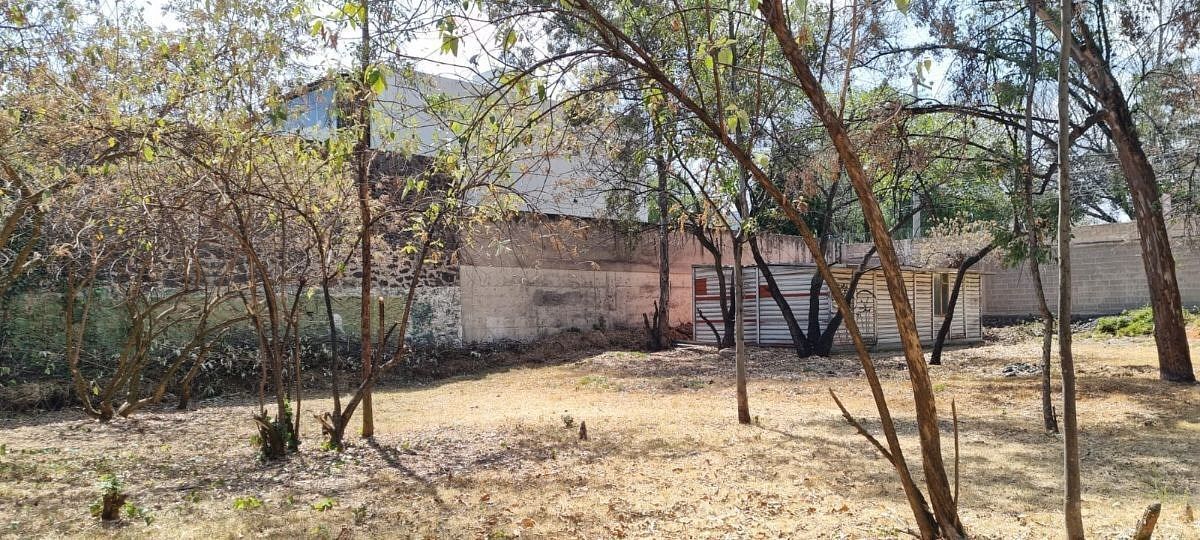 3 de 9: Terreno en Venta en Pedregal Rayo Vende ®