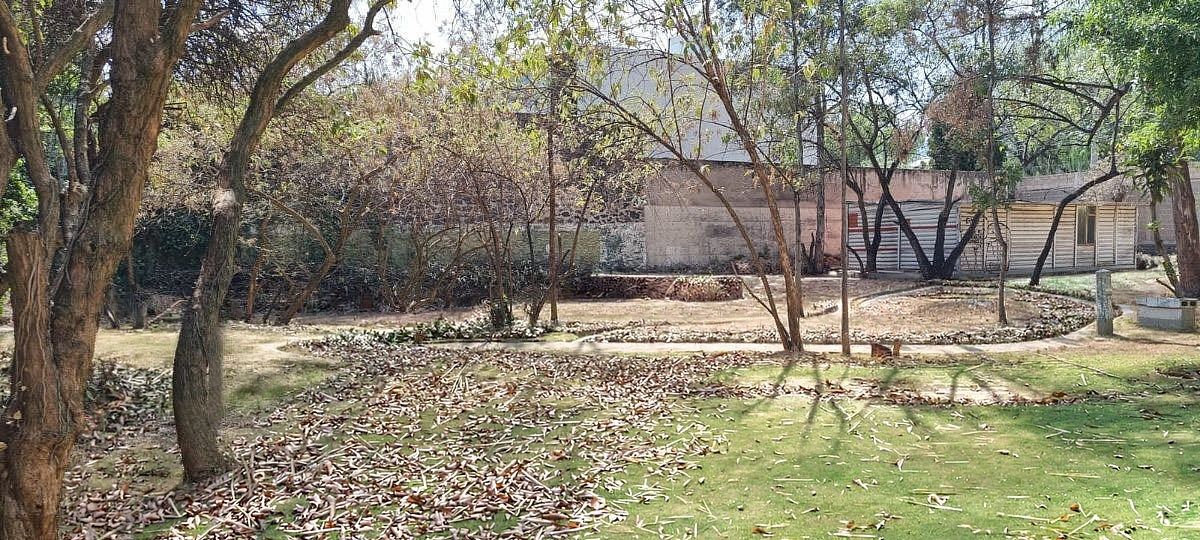 Terreno en Venta en JARDINES DEL PEDREGAL
