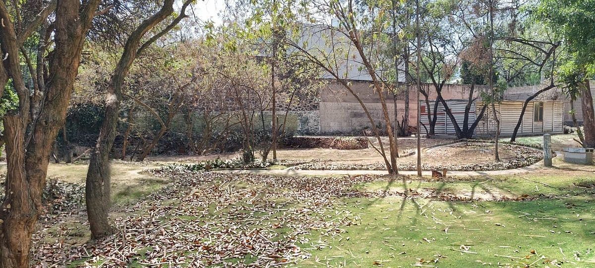 1 de 9: Terreno en Venta en Pedregal Rayo Vende ®