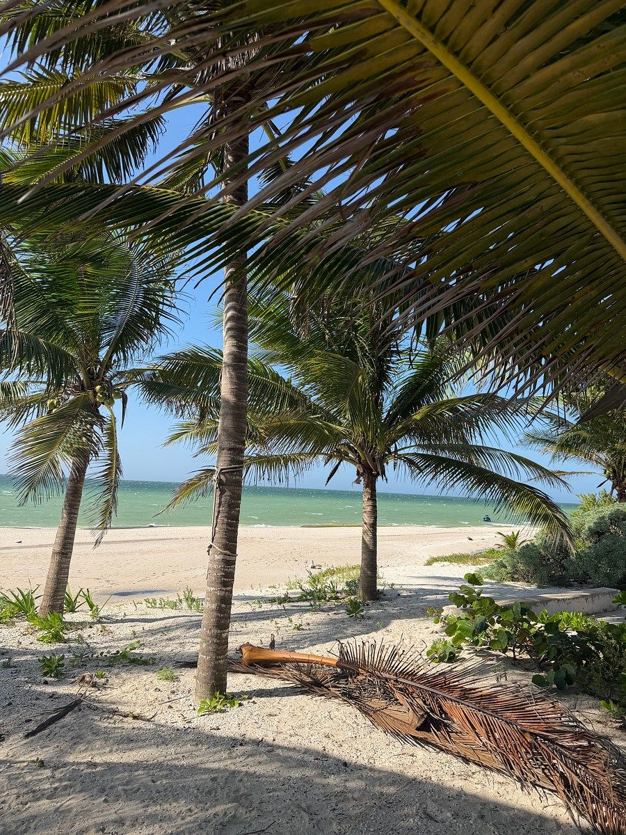 Casa em Chicxulub Puerto, Progreso, foto 42 de 42