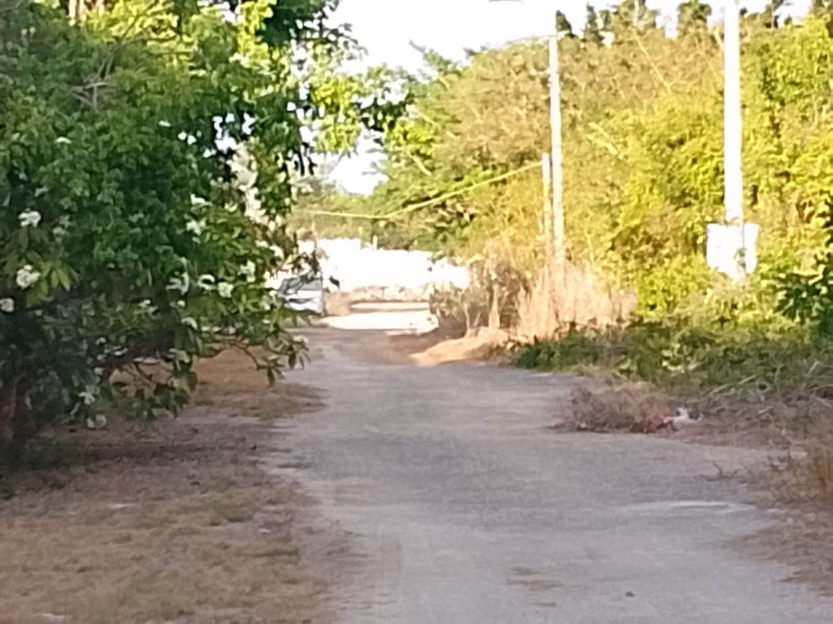 7 de 8