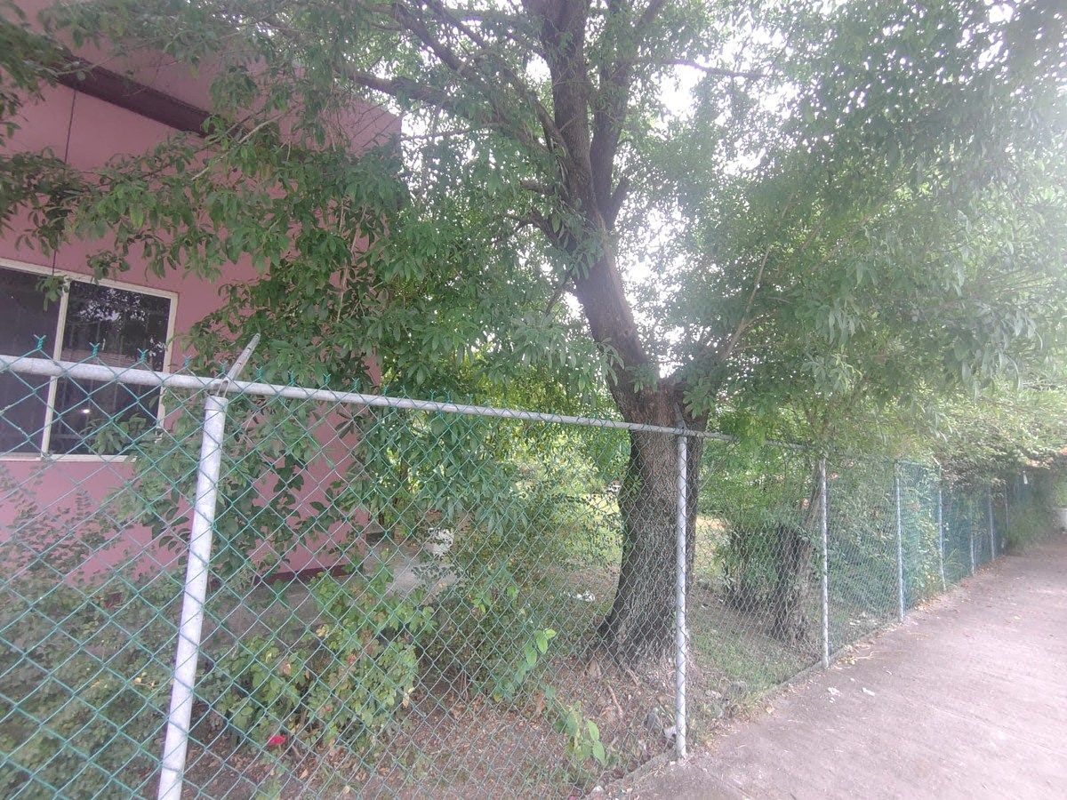 Casa en Elverdin Azahares, Allende, foto 38 de 38