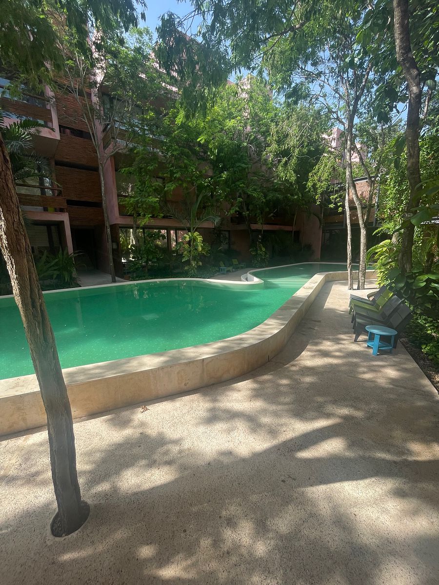 16 de 16