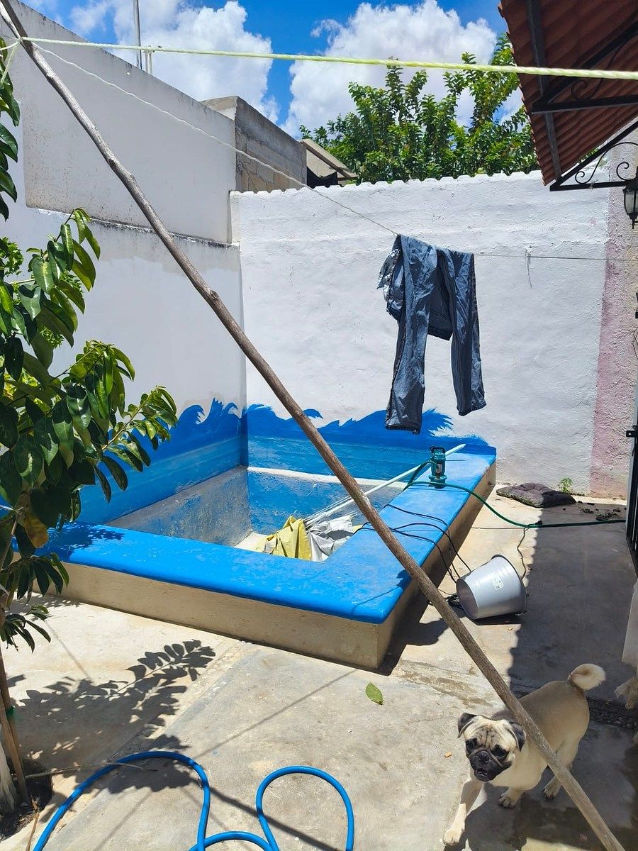 5 de 12