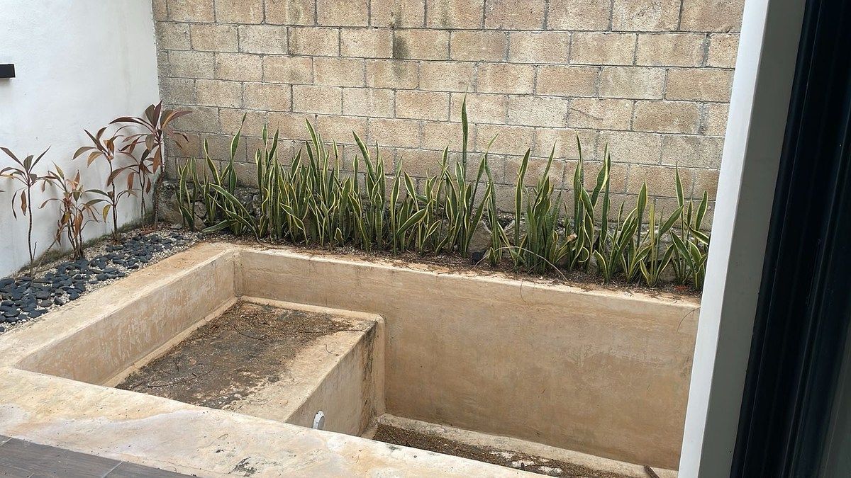 9 de 41: Alberca y jardín trasero