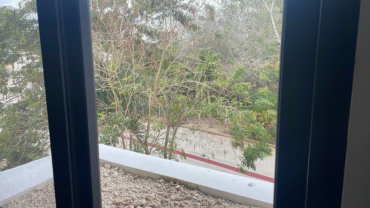 41 de 41: Vista desde recámara principal