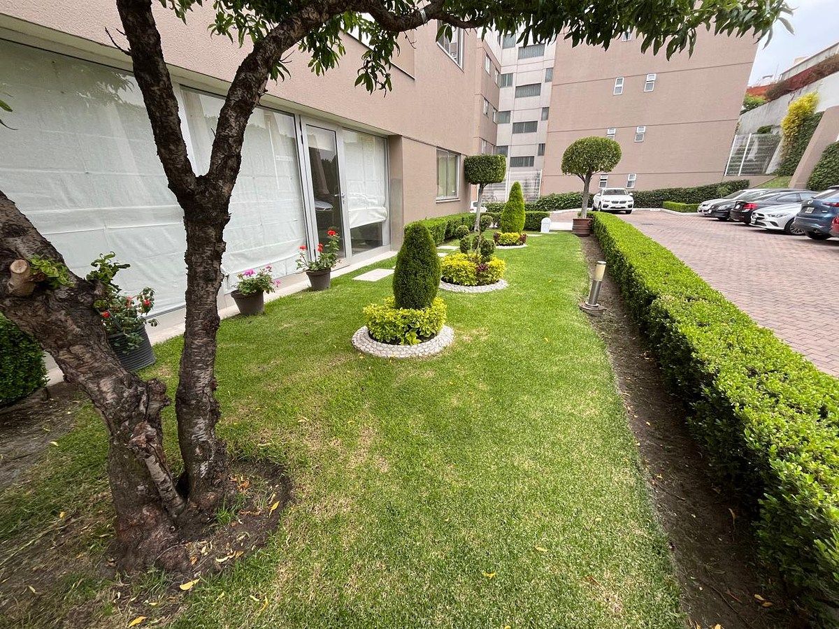 5 de 14: Jardín y estacionamiento