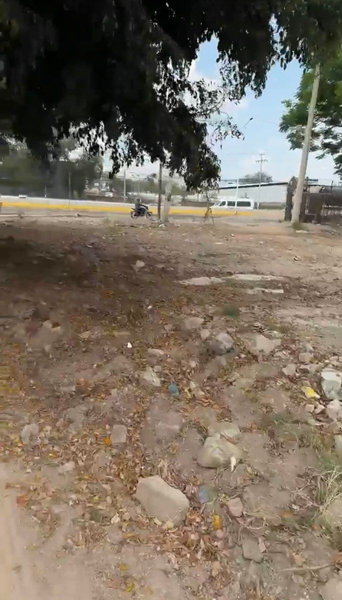 3 de 5
