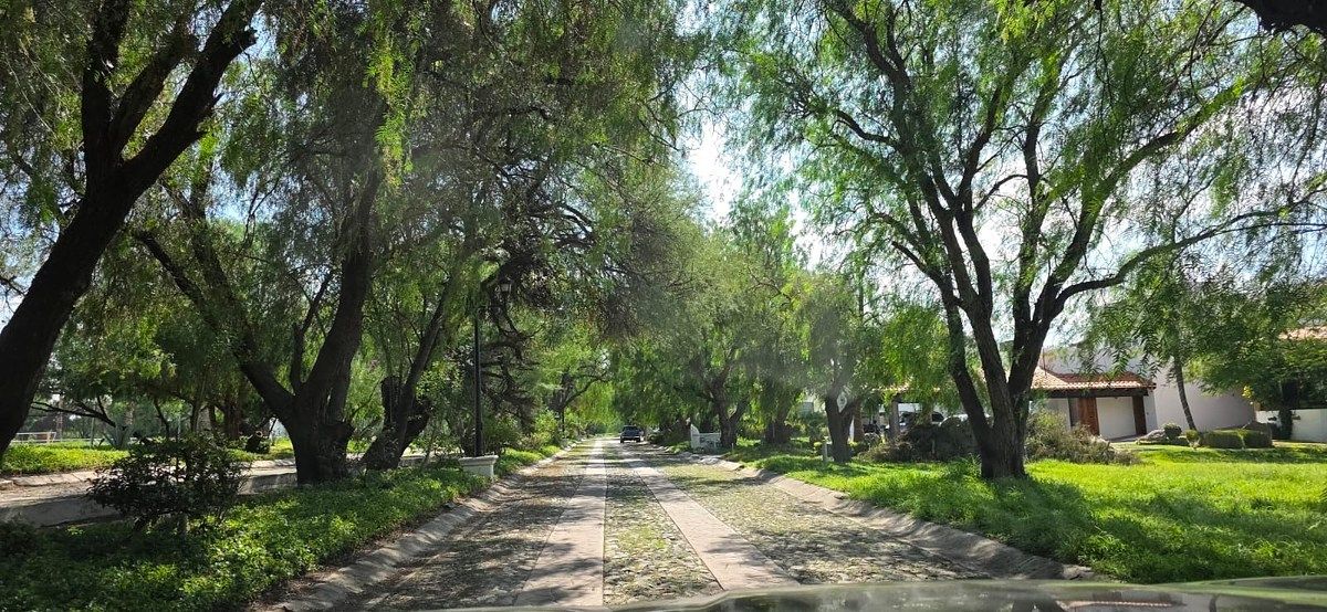 PAISAJE DENTRO DEL FRACCIONAMIENTO, foto 1 de 19