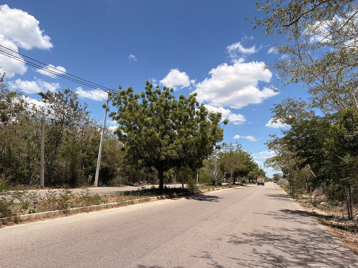 Venta de terreno sobre avenida en Temozón Norte - foto 3