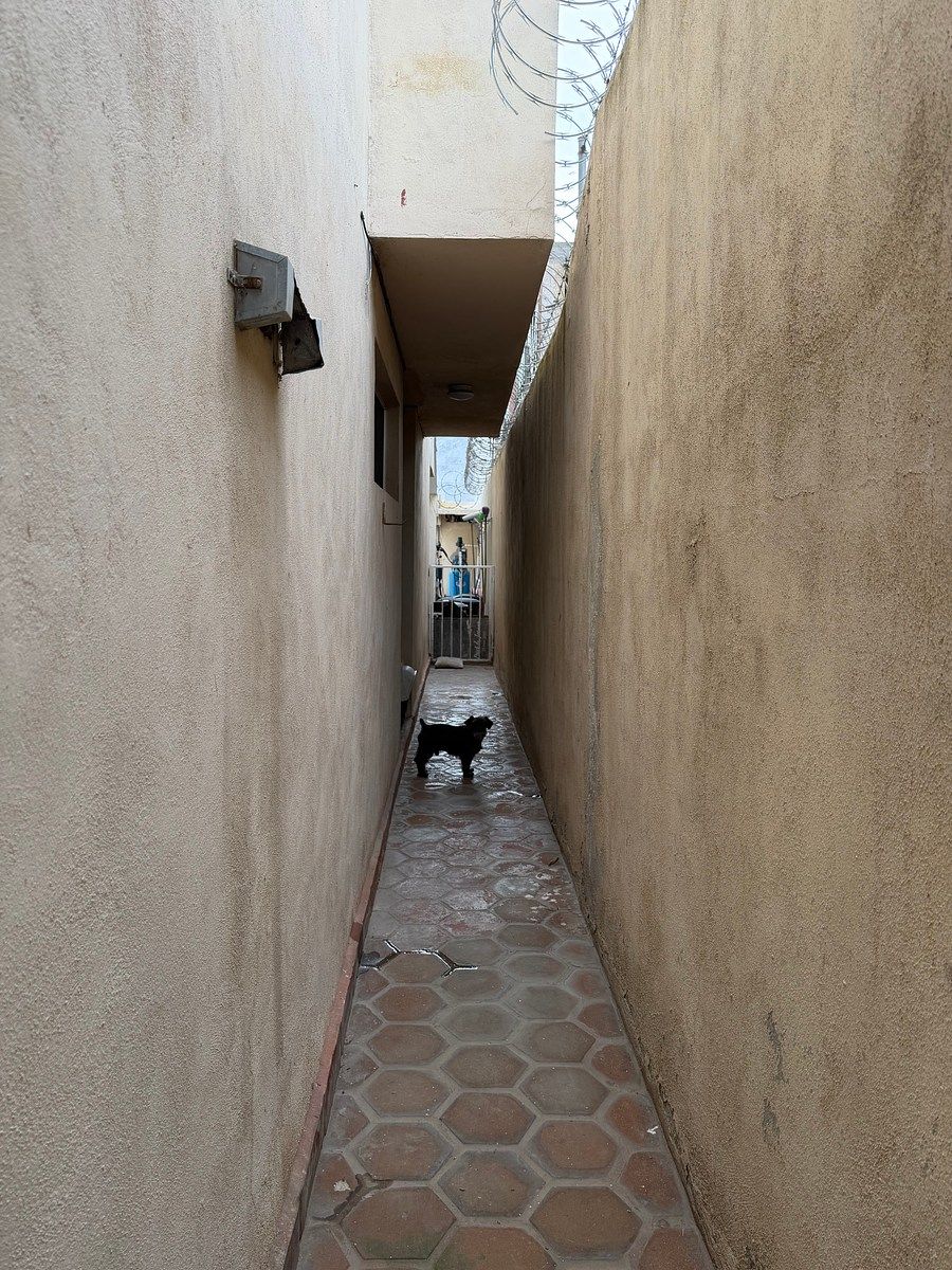 19 de 35: Pasillo lateral