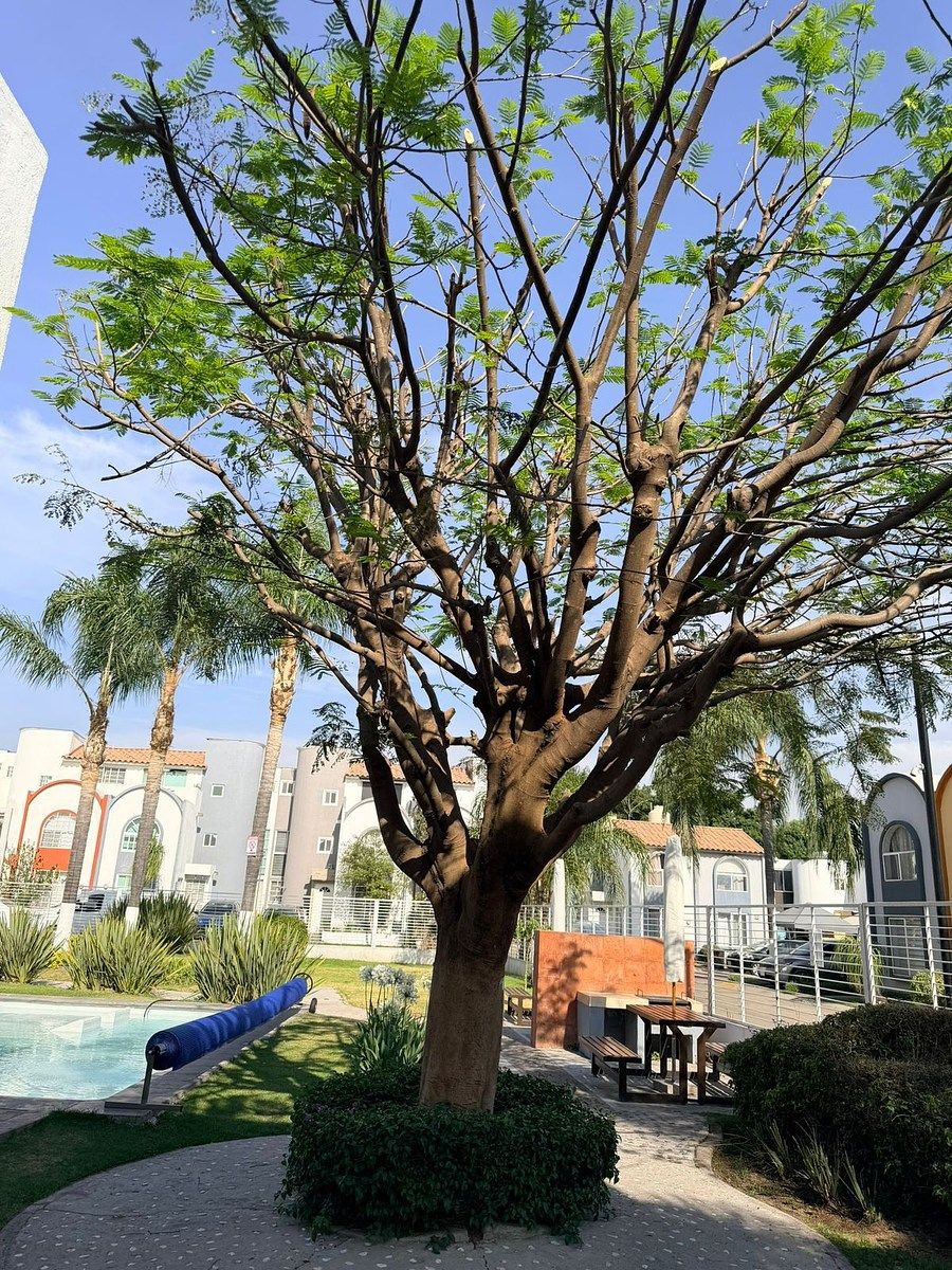 14 of 18: areas verdes