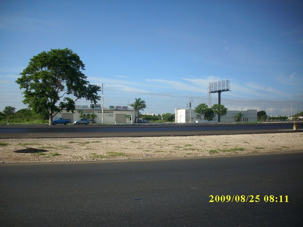 1 de 14