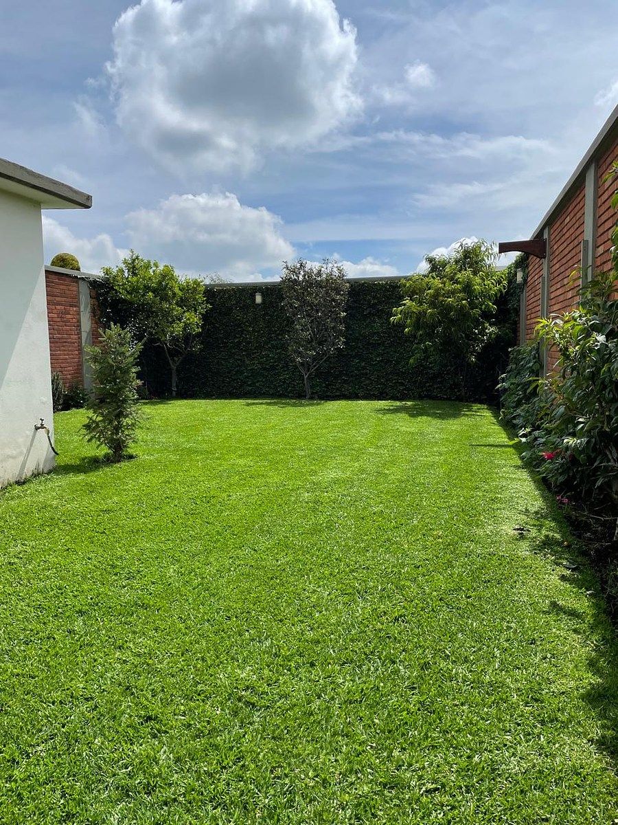 JARDIN, foto 14 de 15