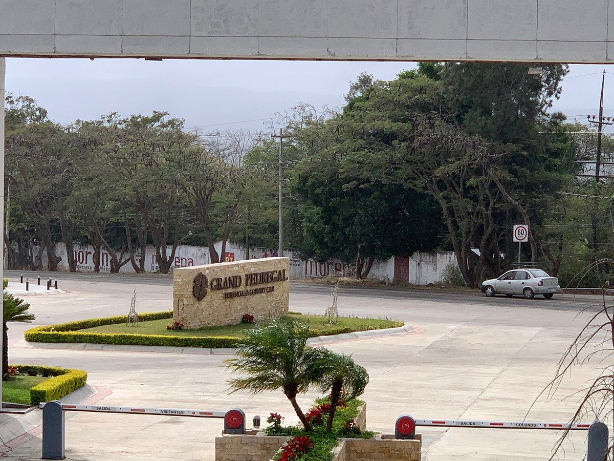 11 de 14