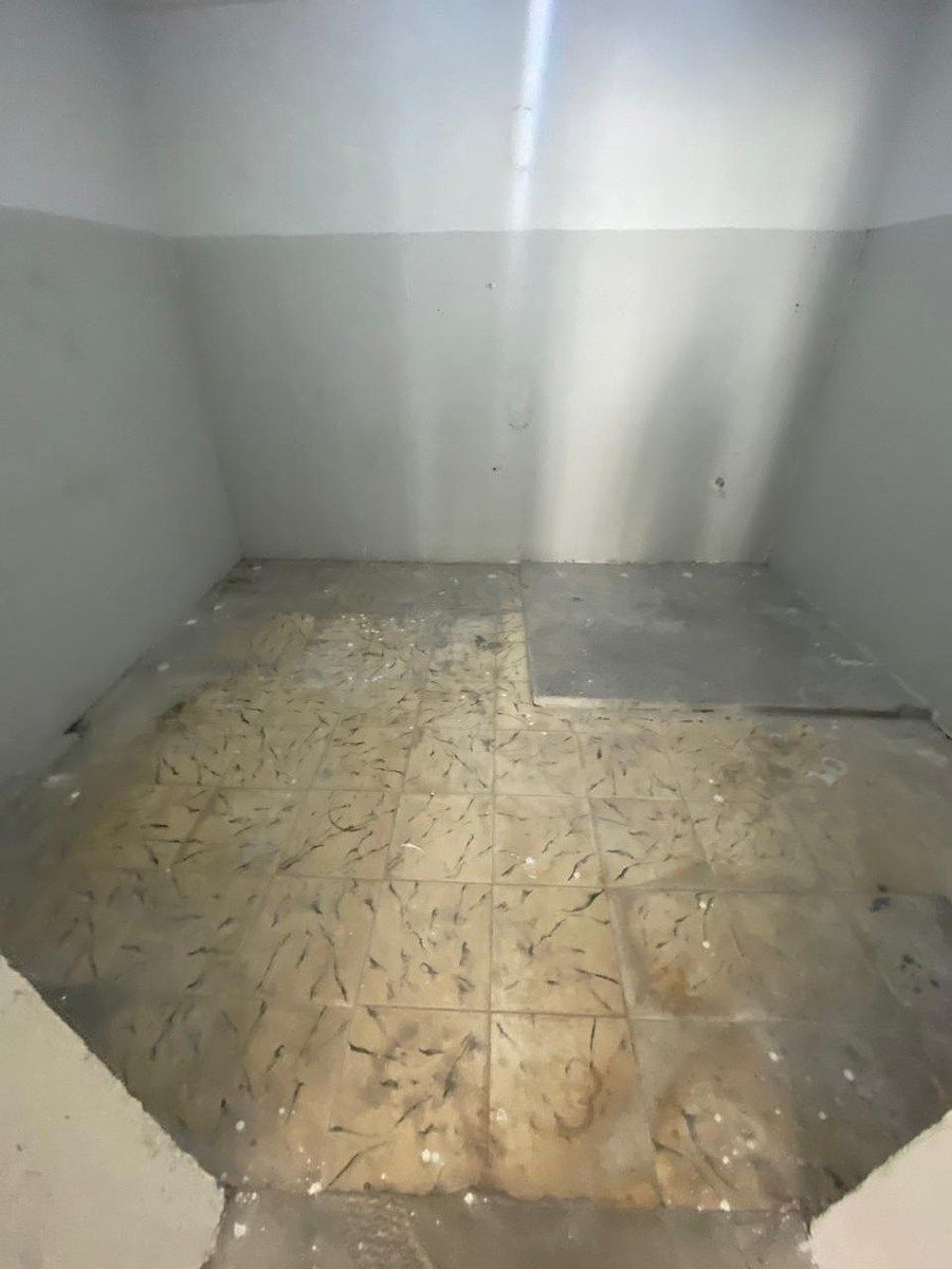 7 de 10