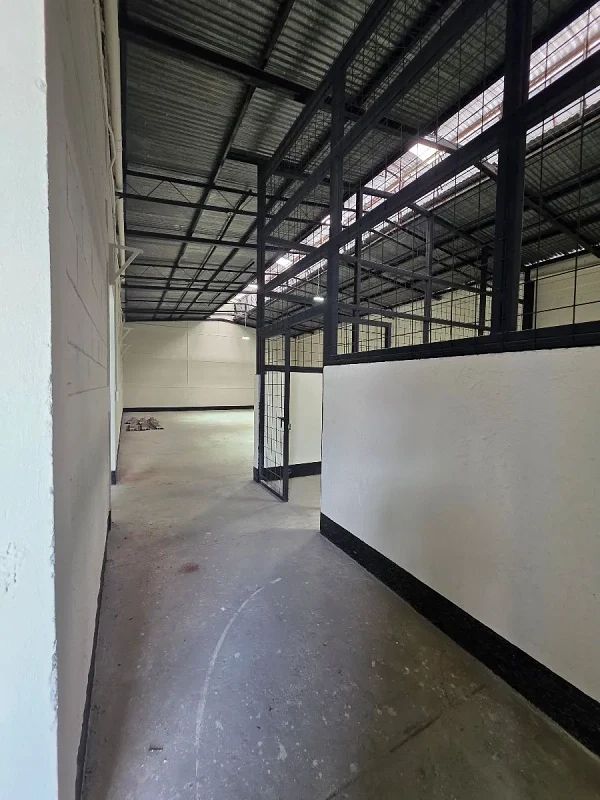 Bodega en Renta en Zona 5 - Miniatura 3