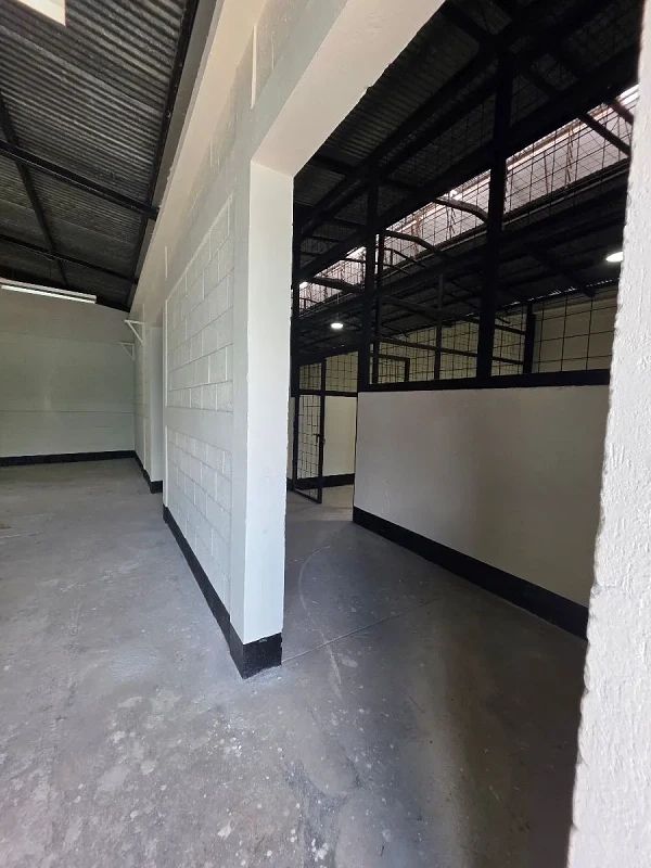 Bodega en Renta en Zona 5 - Miniatura 4